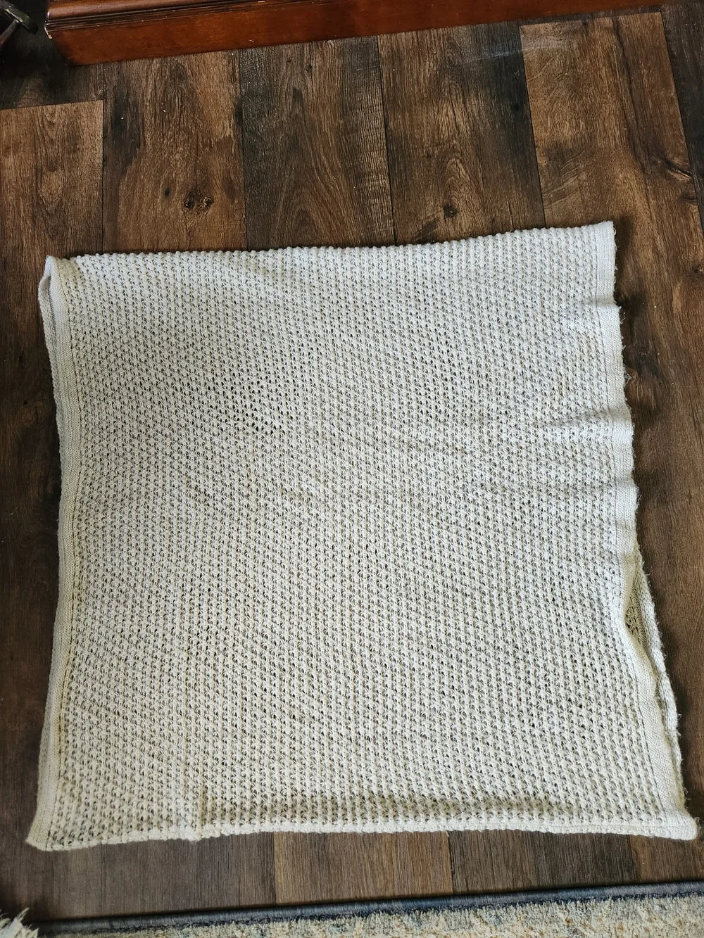 French Connection Cozy Cream open  Knit Infinity Scarf